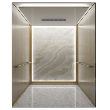 Stainless Steel Traction Type Home Villa Elevator Mini Small Small Home Elevator Lift